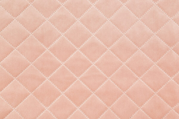 salvador_caro_t11